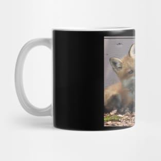 Fox Pups Getting Cozy Mug